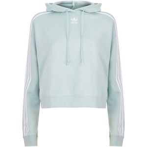 Cropped Adidas Sweater